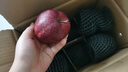 比比贊（BIBIZAN）牛油果肉松三明治650g整箱營(yíng)養早餐手撕面包夾心糕點(diǎn)心休閑零食 曬單實(shí)拍圖