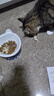 著迷Joyme著迷帶皮三文魚凍干狗狗零食成貓零食磨牙貓咪寵物發(fā)腮營(yíng)養(yǎng) 原切帶皮三文魚塊50g 曬單實(shí)拍圖