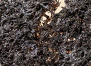 金唐 霞浦紫菜100g  福建特產(chǎn) 海產(chǎn)干貨干貝海帶蝦皮蛋花煲湯涼拌食材 曬單實拍圖