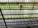 蚊醫(yī)生太陽(yáng)能滅蚊燈戶外防水別墅庭院花園殺蚊蟲誘滅器室外露營(yíng)果園滅蠅 曬單實(shí)拍圖