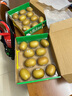 佳沛（zespri）新西蘭  陽光金奇異果10粒禮盒巨大果單果約144-175g 水果 獼猴桃 曬單實拍圖