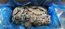 美加佳大號黑虎蝦 去冰凈重2斤 20-30只 燒烤大蝦 生鮮蝦類(lèi) 曬單實(shí)拍圖