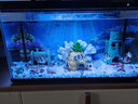 小米適配一代魚(yú)缸背景板貼紙裝飾畫(huà)亞克力高清卡通3D安裝簡(jiǎn)單 光照海底生物*1 曬單實(shí)拍圖