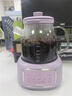 大宇（DAEWOO）全玻璃壺體養(yǎng)生壺恒溫壺 辦公室多功能煮茶壺花茶壺 0金屬養(yǎng)生杯24h預(yù)約保溫 YS14A紫色配茶漏 曬單實(shí)拍圖