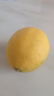 京鮮生 安岳黃檸檬16粒 單果95g-120g 生鮮水果 曬單實(shí)拍圖