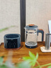 格麗思（GREENIS）煮茶壺養生壺 純鈦噴淋式加熱煮茶器一體式燒水壺蒸茶壺 辦公室蒸茶器茶水分離 電茶壺圍爐煮茶 深空灰禮盒裝（純鈦壺底-單直筒茶漏） 曬單實(shí)拍圖