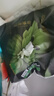 巴布豆（BOBDOG）奇跡奢寵拉拉褲超薄透氣尿不濕紙尿褲嬰兒試用夜用鳳凰草植萃舒敏 拉拉褲 XL44片【23-28斤】 曬單實拍圖