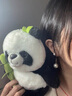 伊燦長(zhǎng)款流蘇仿珍珠耳釘女絕美小眾設(shè)計(jì)高級(jí)感耳飾2025年新款爆款耳環(huán) 珍珠耳飾 100000 曬單實(shí)拍圖