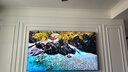 TCL電視 98Q10L 98英寸 極景QD-Mini LED 蝶翼華曜屏 萬(wàn)象分區(qū) 絢彩XDR 5000nits 98/100英寸電視 曬單實(shí)拍圖