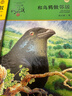 正版 狼王夢 動物小說大王沈石溪全套40冊36冊 沈石溪全集品藏書系 狼王夢斑羚飛渡最后一頭戰(zhàn)象等兒童文學(xué)中小學(xué)生課外書 沈石溪動物小說全套 當(dāng)當(dāng)書店官方旗艦店  升級版（黃綠特輯 套裝共12冊） 曬單實拍圖