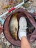 創(chuàng)威凌天三代釣魚竿手竿碳纖維魚桿十大物魚竿全套一套臺釣魚竿漁具 5.4m 全能 曬單實(shí)拍圖