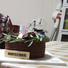 派悅坊生巧黑櫻桃迷你生日小蛋糕巧克力閨蜜聚會(huì )下午茶甜品同城當天配送 曬單實(shí)拍圖