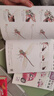 少兒彩鉛基礎入門(mén)（4冊全套）花卉動(dòng)物玩具美食篇幼兒童實(shí)用零基礎畫(huà)畫(huà)教材美術(shù)課教程書(shū)籍 視頻同步教學(xué) 楊建飛 曬單實(shí)拍圖