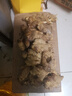 果食鮮豐正宗云南小黃姜生姜新鮮蔬菜農家自種 凈重3斤 曬單實(shí)拍圖