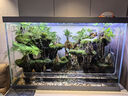 坤寧王魚(yú)缸造景石五彩石溪流石底砂石子底鋪沙石鵝卵石雨花石盆栽裝飾 曬單實(shí)拍圖