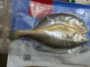 1號(hào)會(huì)員店零添加保水劑三去干腌黃魚(yú)鲞(4條*150g) 600g 大黃魚(yú)海鮮水產(chǎn) 曬單實(shí)拍圖