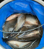水滴型柳葉鉛墜筏竿海竿遠投拋帶環(huán)足克鉛墜釣魚(yú)鯽魚(yú)漁具配件包郵 【20枚裝】 水滴鉛墜丨40g 曬單實(shí)拍圖