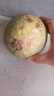 正宗曉蜜瓜哈密瓜新鮮現摘當季水果甜蜜瓜整箱批發(fā) 帶箱5斤 曬單實(shí)拍圖