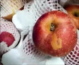 果味集云南昭通冰糖心丑蘋(píng)果當季的新鮮紅富士紅露蘋(píng)果整箱5斤水果包郵 5斤小果【果徑65-70mm】 曬單實(shí)拍圖