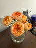 M.A.C【新品】魅可全新24H卷王氣墊粉底定妝二合一遮瑕持久不脫妝#N11 曬單實拍圖