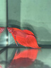 好養易活漂亮進(jìn)口寵物泰國斗魚(yú)活體觀(guān)賞魚(yú)淡水熱帶魚(yú)小型半月活魚(yú) 精品馬尾公1條 曬單實(shí)拍圖