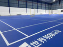 歐探【賽事品質(zhì)】羽毛球籃球場(chǎng)地膠可收卷室內外乒乓球場(chǎng)防滑運動(dòng)地膠 5.0mm室外綠寶石【1平方】 曬單實(shí)拍圖