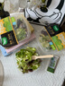 一號農(nóng)場活力蔬菜沙拉碗6種蔬菜開盒即食輕食健身代餐160g*3碗源頭直發(fā) 曬單實拍圖