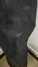 蕉內（Bananain）銀皮311S男士?jì)妊澕兠?A抗菌條紋透氣柔軟精梳棉平角短褲頭3件裝 阿羅娜+格林綠+艦灰 3條 XL 曬單實(shí)拍圖