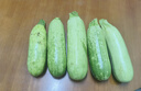 【京東配送】山東新鮮西葫蘆角瓜農家自種三月瓜茭瓜現摘現發(fā) 西葫蘆 4斤 ±50g（帶箱） 曬單實(shí)拍圖