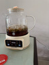 APIXINTL日本安本素1.2L全玻璃養(yǎng)生壺 家用燒水壺迷你煮茶壺 保溫一體辦公室多功能全自動(dòng)花茶壺恒溫壺 曬單實(shí)拍圖