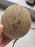 京鮮生蜜蜂授粉牛三蜜瓜網(wǎng)紋瓜凈重4.5-5斤 2-3粒 中秋禮品源頭直發(fā) 曬單實(shí)拍圖