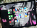 Apple iPad10（第十代）10.9英寸平板電腦資源平板電腦ipad 粉色【曬單有禮】 256GB 未使用【W(wǎng)iFi版+店保2年】 曬單實拍圖