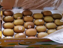佳沛（zespri）新西蘭  陽(yáng)光金果22粒原箱 單果重144-175g 獼猴桃 中秋水果禮盒 曬單實(shí)拍圖