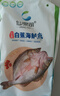 仙泉湖三去白蕉海鱸魚1斤/條凈膛冷凍刺少肉厚珠海特產(chǎn)500g生鮮食材 曬單實(shí)拍圖
