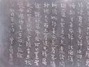 貓人五星級酒店床墊遮蓋物軟墊 家用墊子床褥子雙人榻榻米墊被1.5x2米 曬單實(shí)拍圖