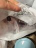 得利斯 黑豬前排2斤 黑豬肉生鮮 精品豬排骨 前排 黑豬肋排 免切含脊骨 曬單實拍圖