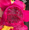 海南紅心火龍果金都一號裝新鮮采摘現摘現發(fā) 單果200g-300g（2個(gè)裝） 曬單實(shí)拍圖