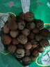 鮮級佳大涼山新鮮濕核桃去青皮嫩核桃老樹薄紙皮核桃孕婦專用生核桃新貨 凈重5斤【去青皮】送夾子 曬單實拍圖