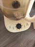 小熊（Bear）養生壺 1.5L煮茶壺煮茶器 玻璃花茶壺 316不銹鋼恒溫水壺燒水壺電熱水壺 YSH-E15M1 曬單實(shí)拍圖