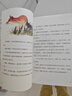 草房子 蒼老的河流（2冊(cè)）曹文軒純美小說集 金色童年系列7-8-9-10-12歲四五六年級(jí)必讀校園青少年小學(xué)生課外經(jīng)典閱讀兒童文學(xué)正版 曬單實(shí)拍圖