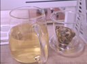 物生物（RELEA）茶杯男茶水分離杯玻璃杯水杯辦公泡茶杯子耐高溫花茶杯教師節禮物 曬單實(shí)拍圖