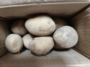 新鮮土豆現(xiàn)挖現(xiàn)發(fā)山東正宗黃心黃肉當(dāng)季蔬菜馬鈴薯洋芋薯條3兩起 山東土豆帶箱2斤 中大果 曬單實拍圖