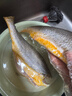 三都港 冷凍三去大黃魚(yú)凈重2斤/2條裝 寧德黃花魚(yú) 生鮮魚(yú)類(lèi) 中秋 曬單實(shí)拍圖