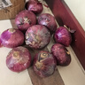 生吃脆甜山東扁洋蔥新鮮5斤裝粉紅皮洋蔥圓蔥農(nóng)家自種蔬菜現(xiàn)發(fā) 中果推薦購買 5斤 曬單實拍圖