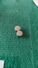 飛獅（Camelion）AG13/LR44/357/SR44W紐扣電池 扣式電池 2粒 適用手表/計(jì)算器/體溫計(jì) 曬單實(shí)拍圖