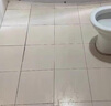 ZYUO【日本】草酸清潔劑高濃度瓷磚強力去污水泥廁所地板磚外墻馬桶除 500mL 1瓶 體驗裝 強力去污 | 專(zhuān)業(yè)除垢 | 瓦解污漬 曬單實(shí)拍圖