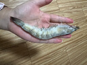 厄瓜多爾白蝦大號原裝進(jìn)口鹽凍凈重4斤鮮凍蝦類(lèi)海鮮水產(chǎn) 30/40厄瓜多爾白蝦 3斤(凈重) 曬單實(shí)拍圖