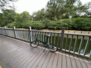 大行（DAHON）D6折疊自行車20英寸6速入門級折疊車成人學(xué)生通勤休閑單車KBC061 墨綠色 曬單實拍圖