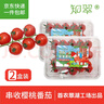 京鮮生＆知翠 串串櫻桃小番茄450g*2盒 生吃小西紅柿 新鮮水果 源頭直發(fā) 曬單實(shí)拍圖