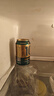 千島湖啤酒（CHEERDAY）金色拉格10度 330ml*24聽(tīng)中濃度整箱啤酒 曬單實(shí)拍圖